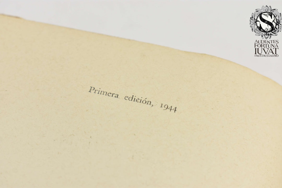 LETRAS MEXICANAS EN EL SIGLO XIX - Julio Jiménez Rueda