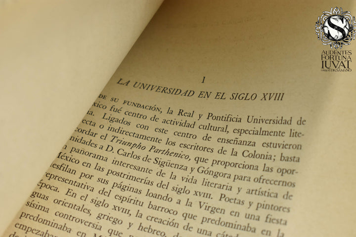 LETRAS MEXICANAS EN EL SIGLO XIX - Julio Jiménez Rueda