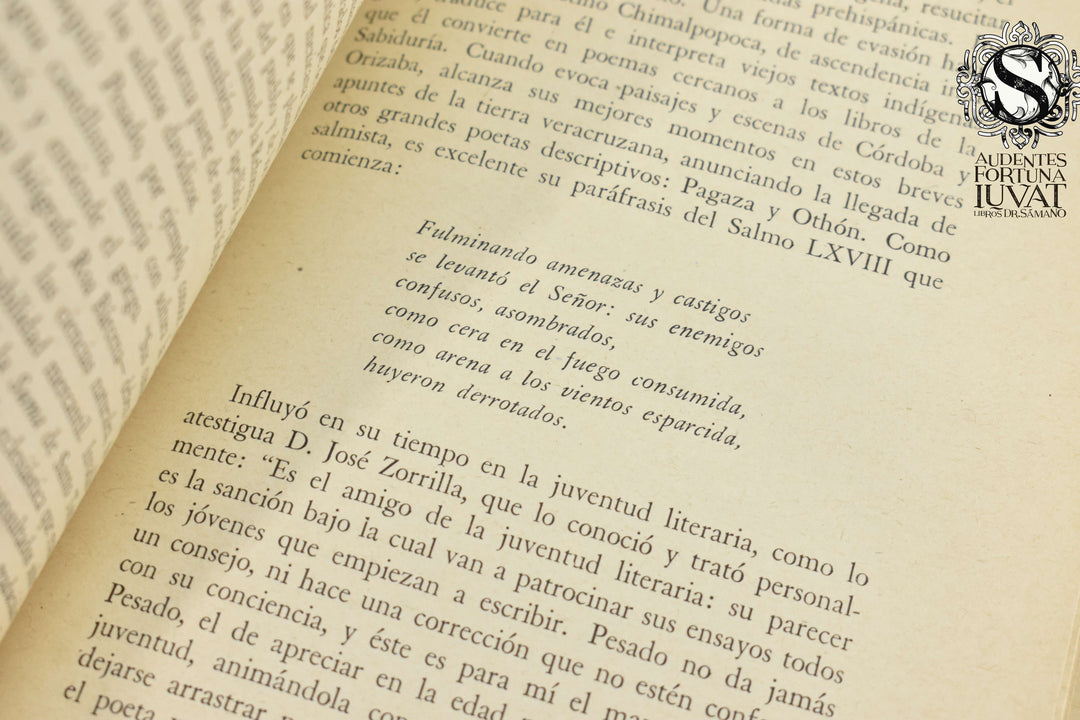 LETRAS MEXICANAS EN EL SIGLO XIX - Julio Jiménez Rueda