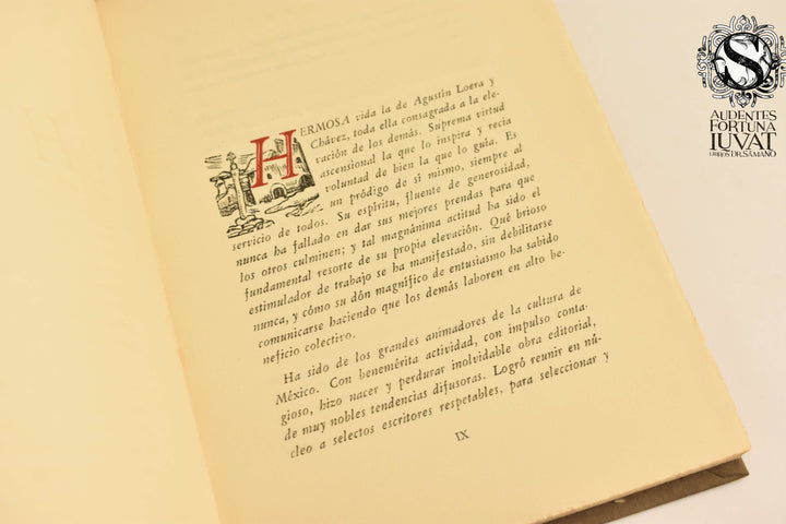 EL VIAJERO ALUCINADO -  Agustin Loera y Chávez