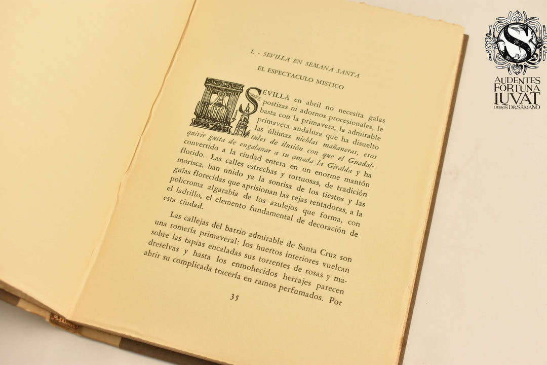 EL VIAJERO ALUCINADO -  Agustin Loera y Chávez