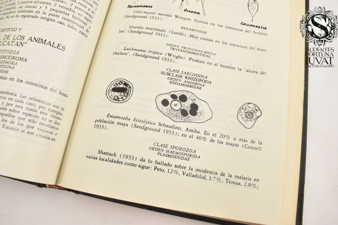 ENCICLOPEDIA YUCATANENSE 9 Tomos - Varios