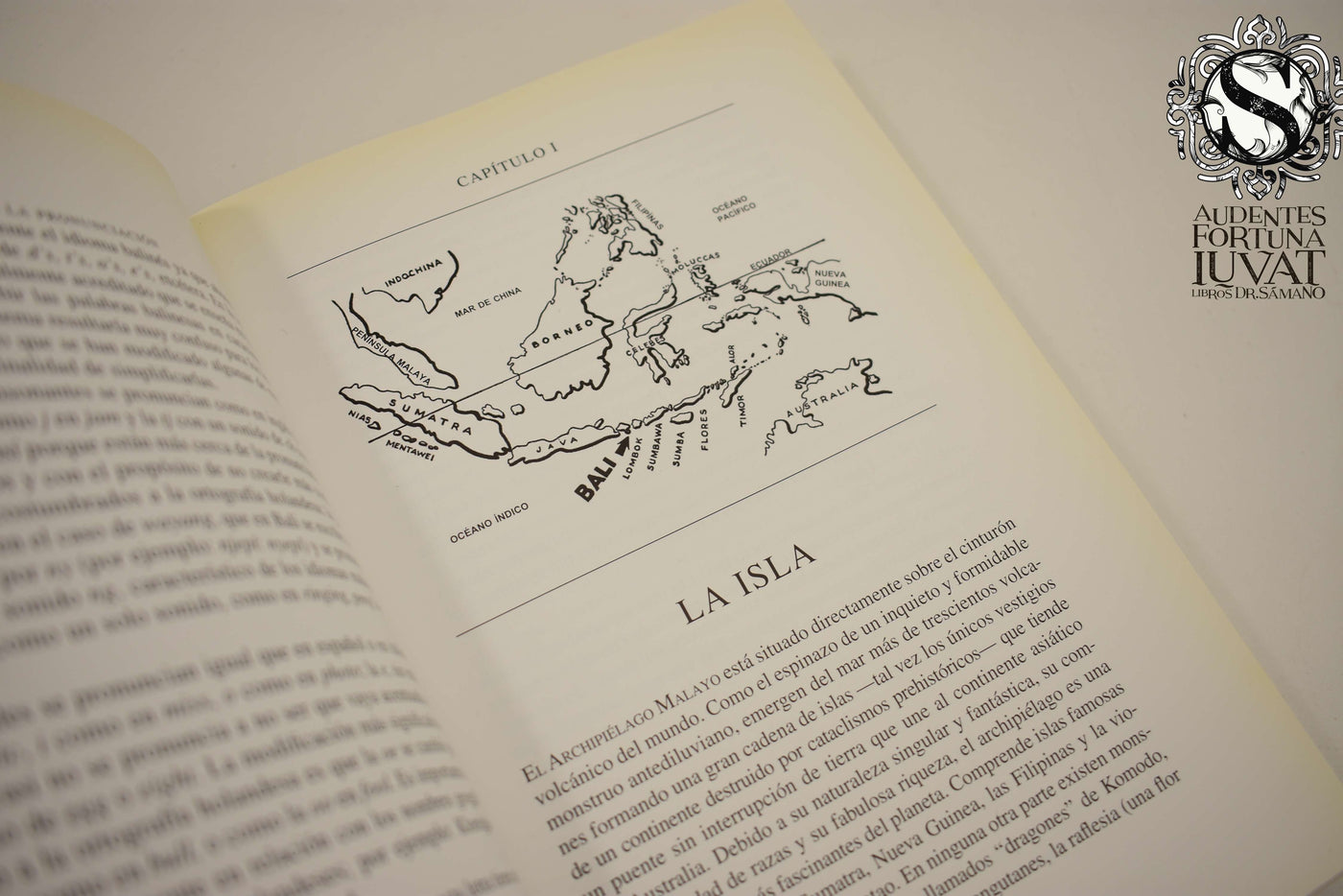 La Isla de Bali - MIGUEL COVARRUBIAS