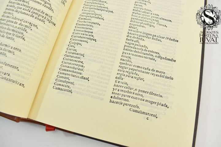 VOCABULARIO EN LENGUA DE MECHUACAN - Fray Maturino Gilberti