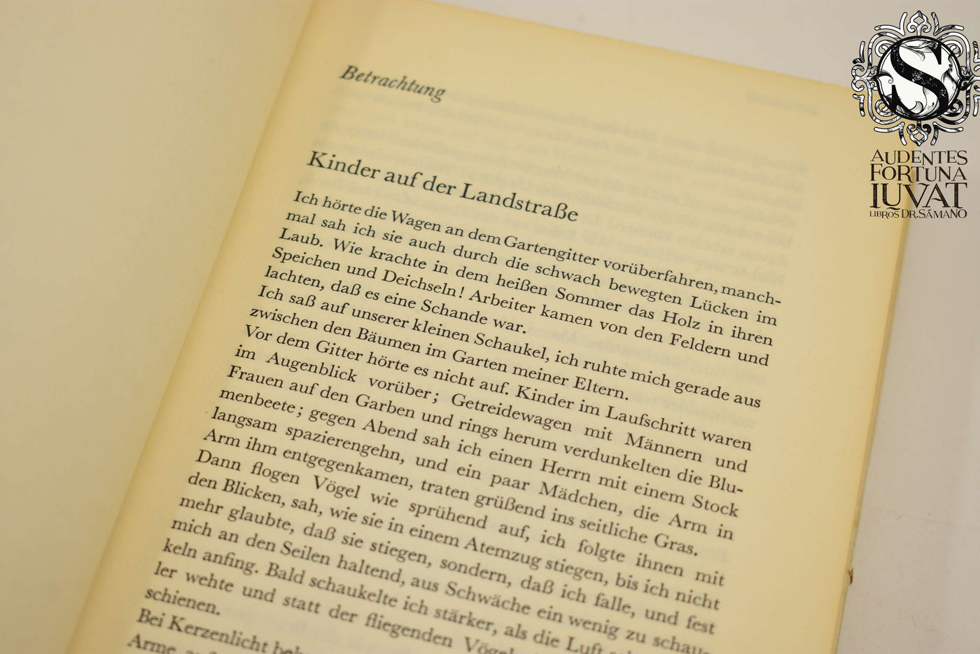 Die Erzählungen - FRANZ KAFKA