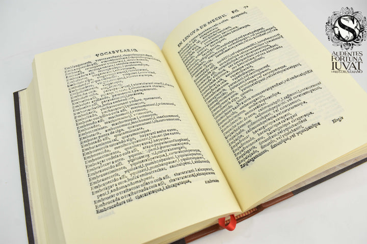VOCABULARIO EN LENGUA DE MECHUACAN - Fray Maturino Gilberti