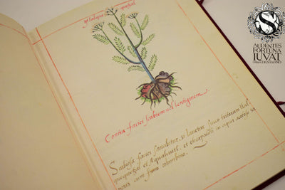 Libellus de Medicinalibus Indorum Herbis - MARTÍN DE LA CRUZ