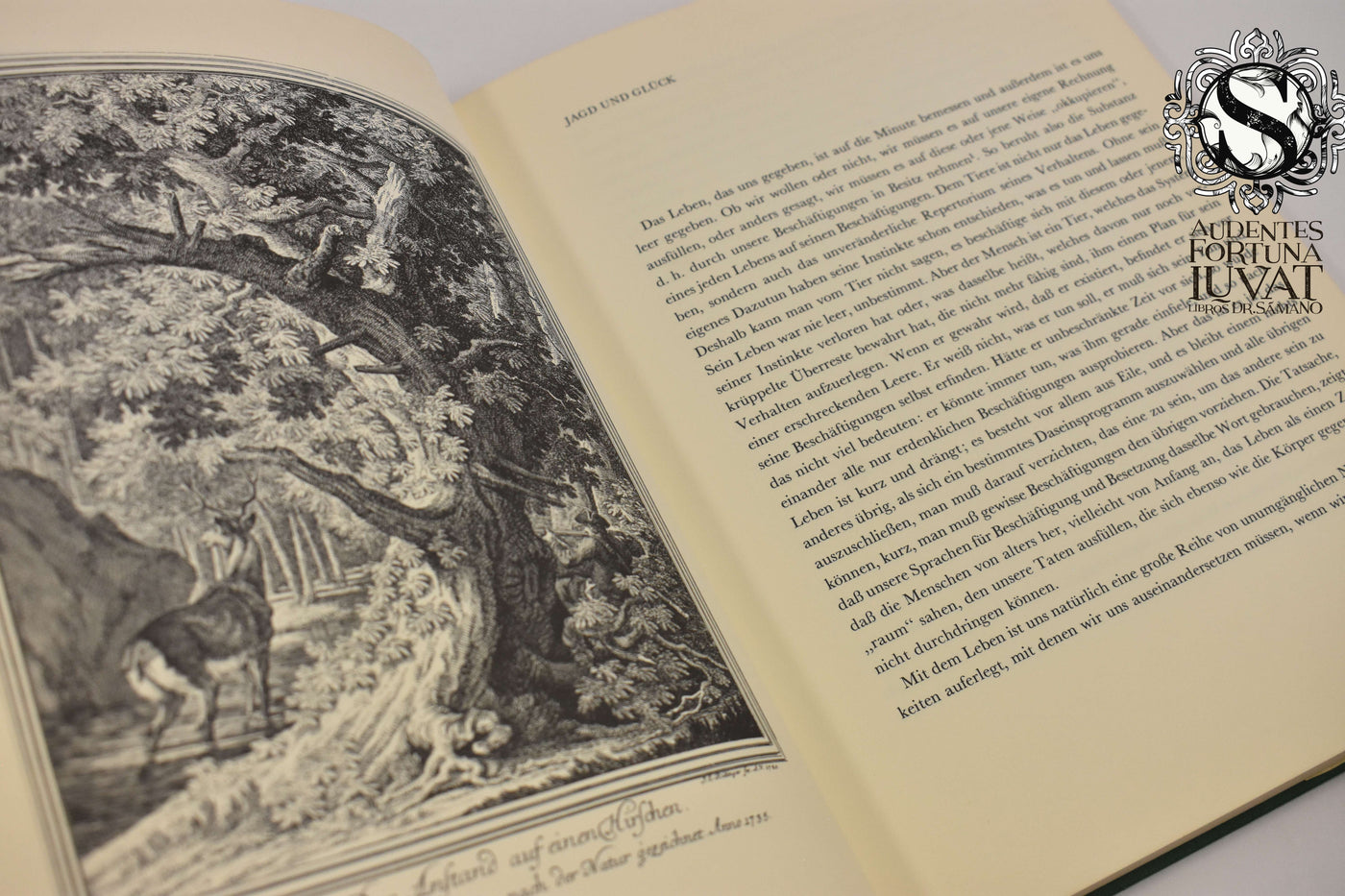 MEDITATIONEN ÜBER DIE JAGD - José Ortega y Gasset