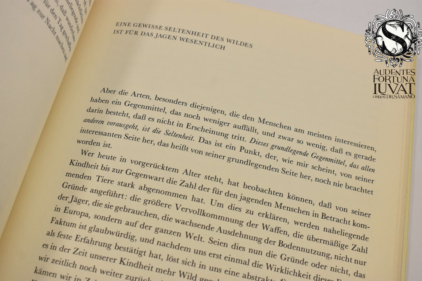 MEDITATIONEN ÜBER DIE JAGD - José Ortega y Gasset