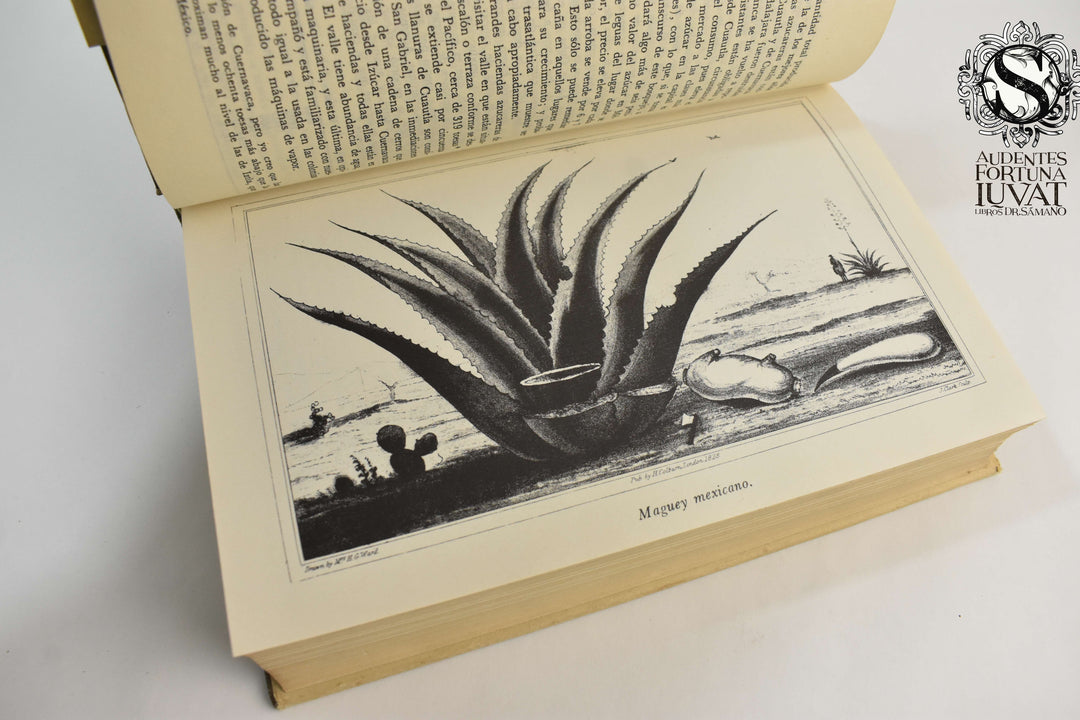 MÉXICO EN 1827 - Henry George Ward