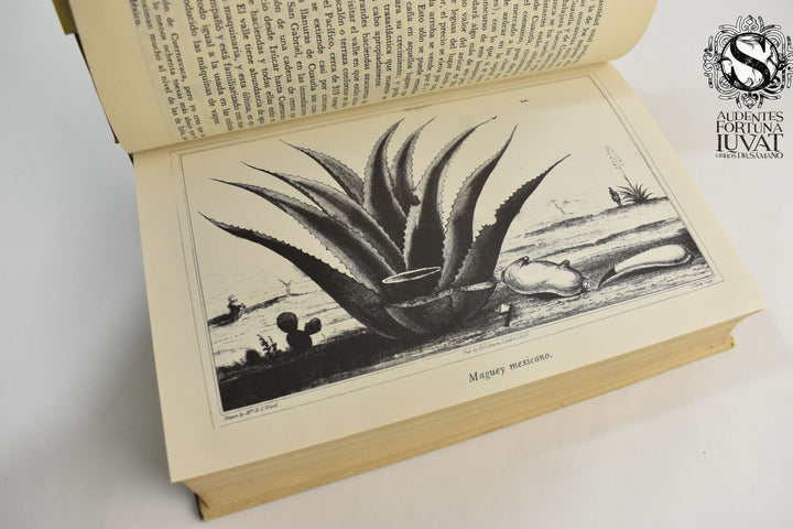 MÉXICO EN 1827 - Henry George Ward