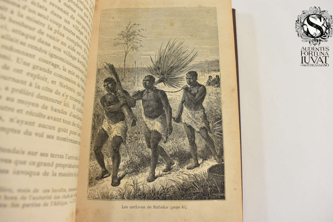 LES SOURCES DU NIL - Belin- De Launay