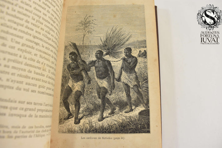 LES SOURCES DU NIL - Belin- De Launay