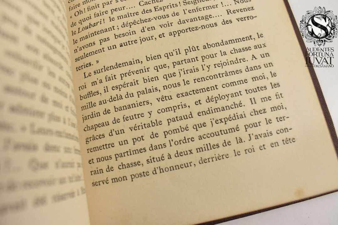 LES SOURCES DU NIL - Belin- De Launay