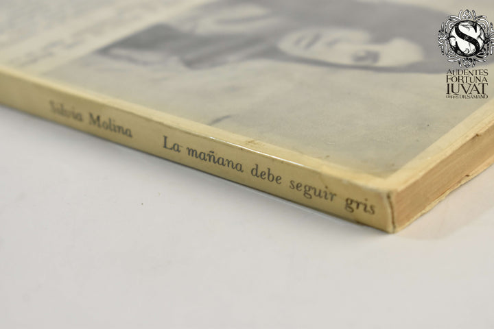 LA MAÑANA DEBE SEGUIR GRIS - Silvia Molina
