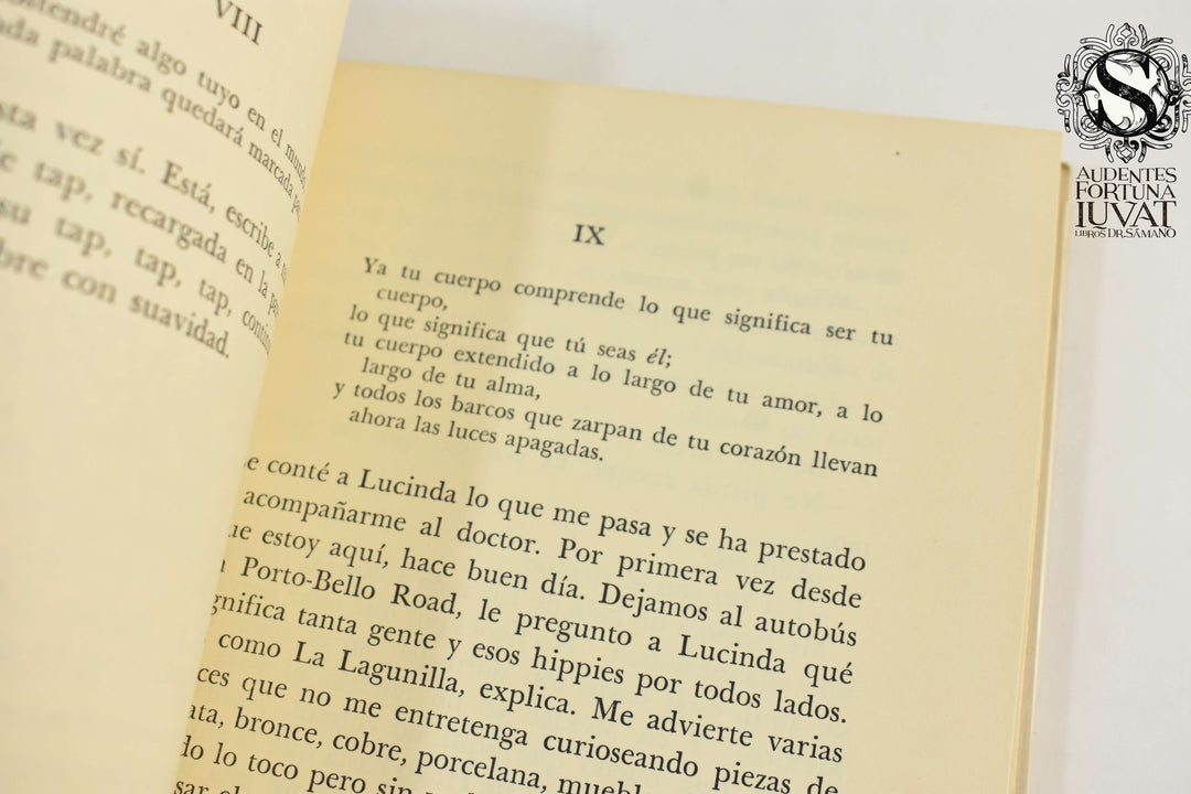 LA MAÑANA DEBE SEGUIR GRIS - Silvia Molina