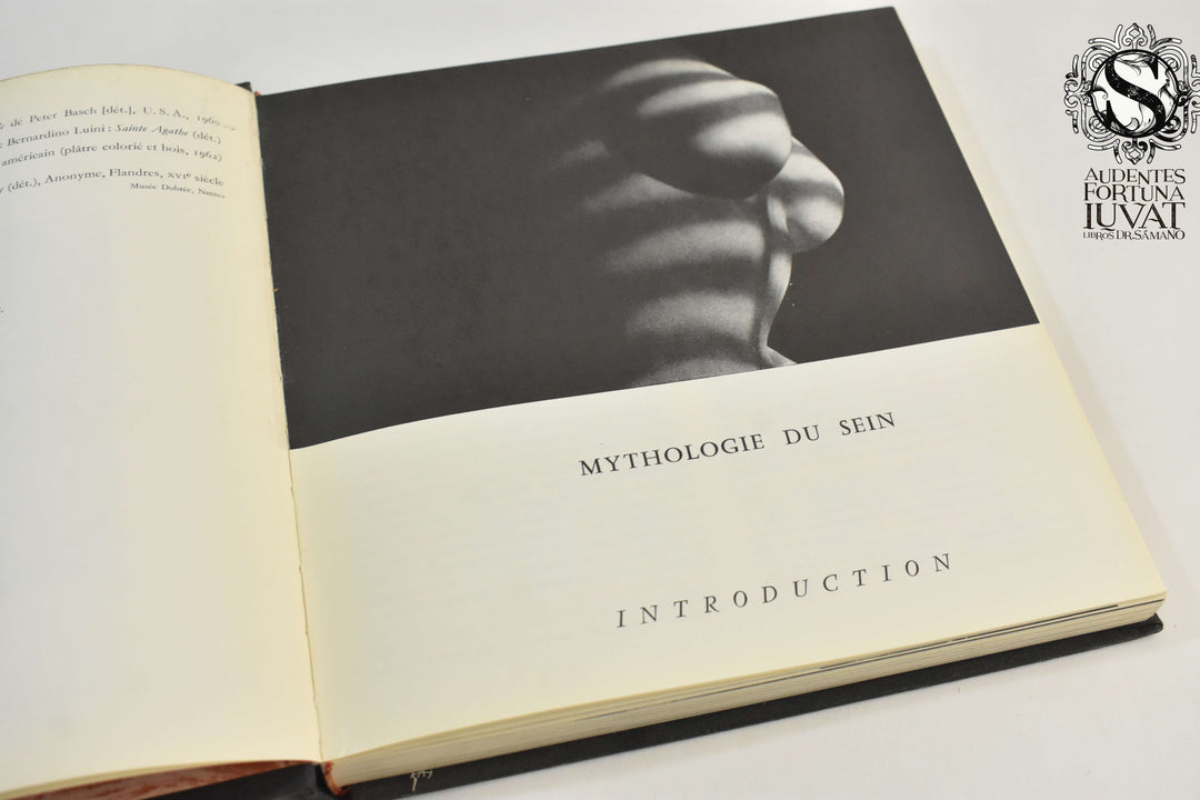 MYTHOLOGIE DU SEIN - Romi