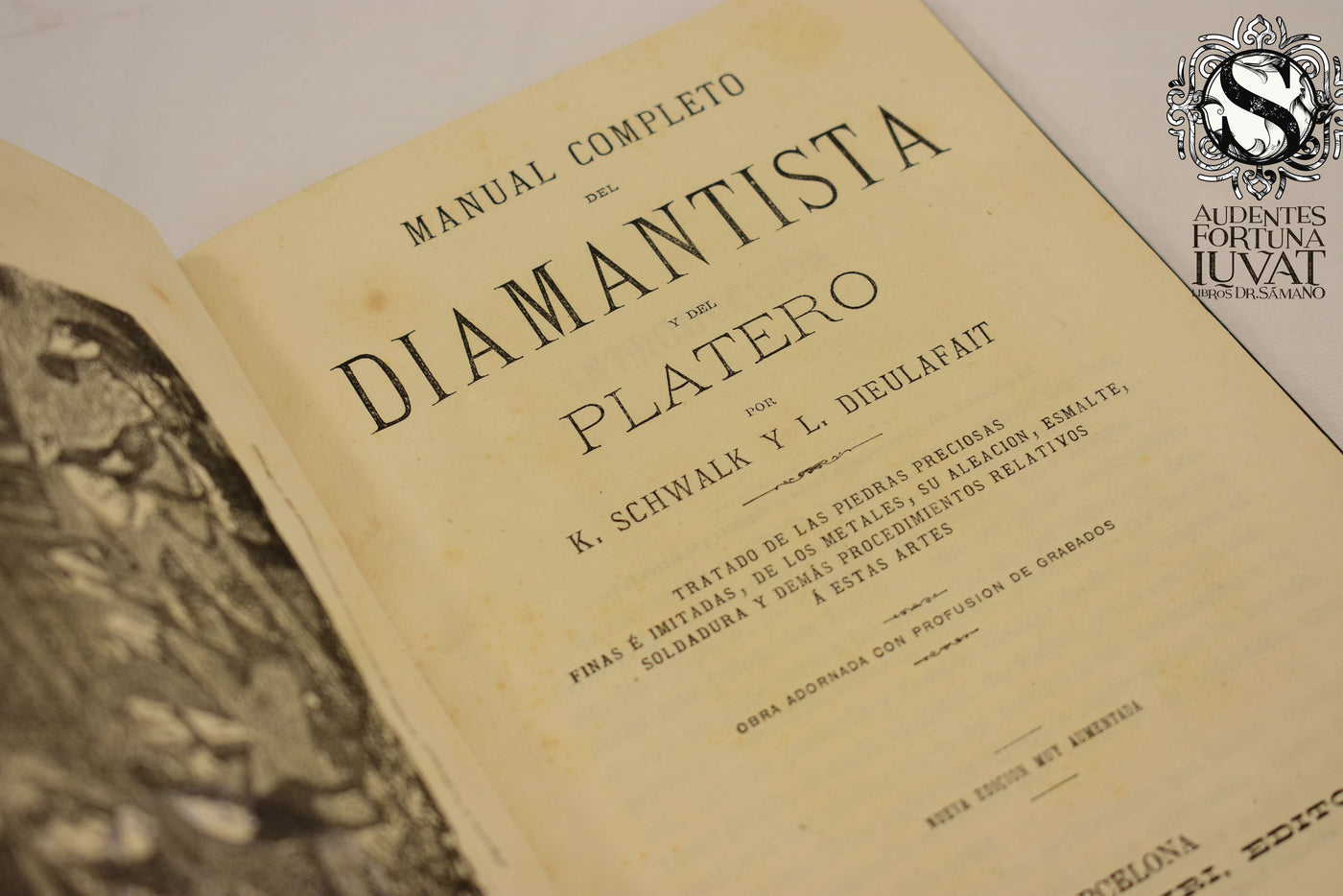MANUEL COMPLETO DEL DIAMANTISTA Y DEL PLATERO -  K. Schwalk y L. Dieulafait