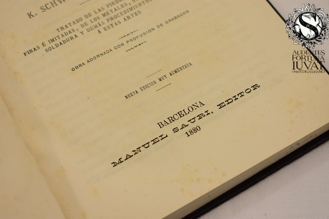 MANUEL COMPLETO DEL DIAMANTISTA Y DEL PLATERO -  K. Schwalk y L. Dieulafait