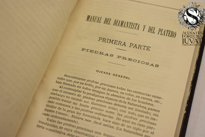 MANUEL COMPLETO DEL DIAMANTISTA Y DEL PLATERO -  K. Schwalk y L. Dieulafait