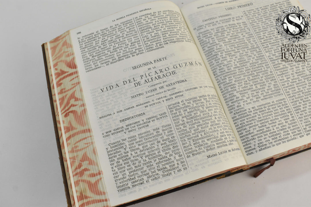 LA NOVELA PICARESCA ESPAÑOLA