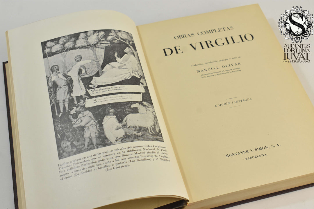 Obras Completas - VIRGILIO