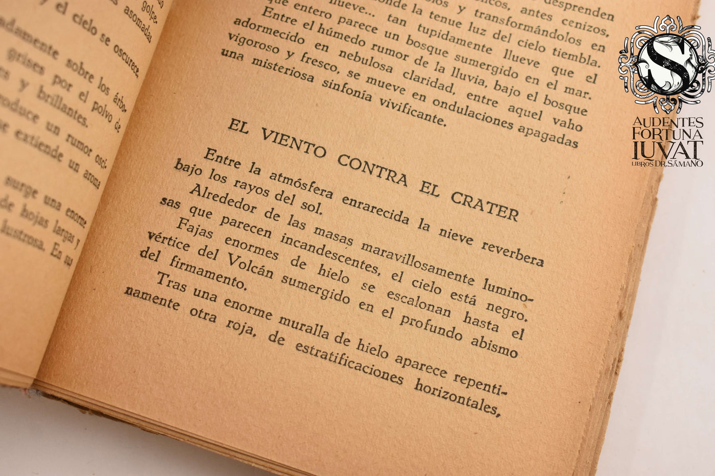 GENTES PROFANAS EN EL CONVENTO - Dr. Atl