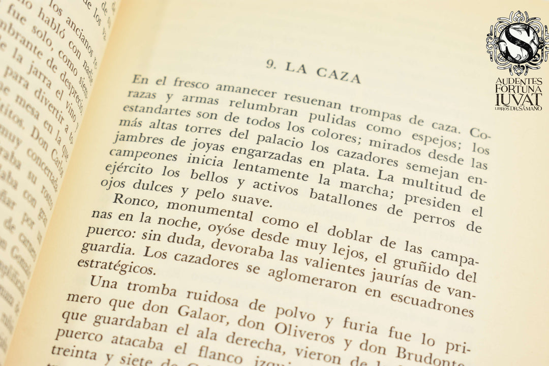 GALAOR - Hugo Hiriart