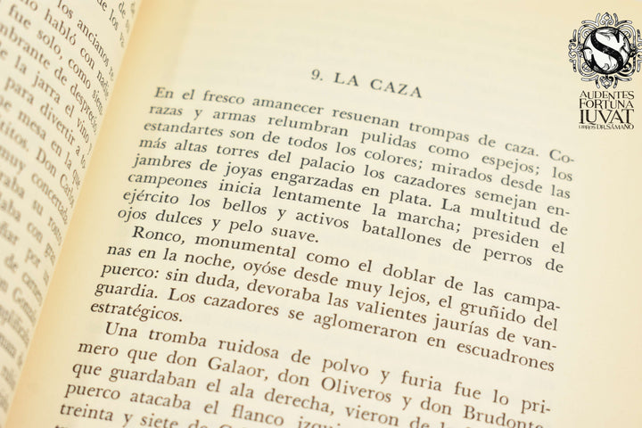 GALAOR - Hugo Hiriart