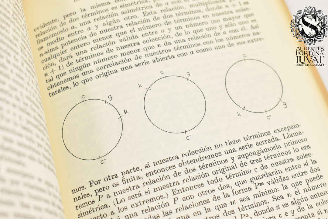 LOS PRINCIPIOS DE LA MATEMÁTICA - Bertrand Russell