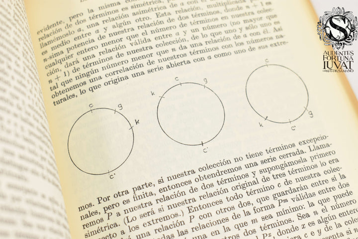 LOS PRINCIPIOS DE LA MATEMÁTICA - Bertrand Russell
