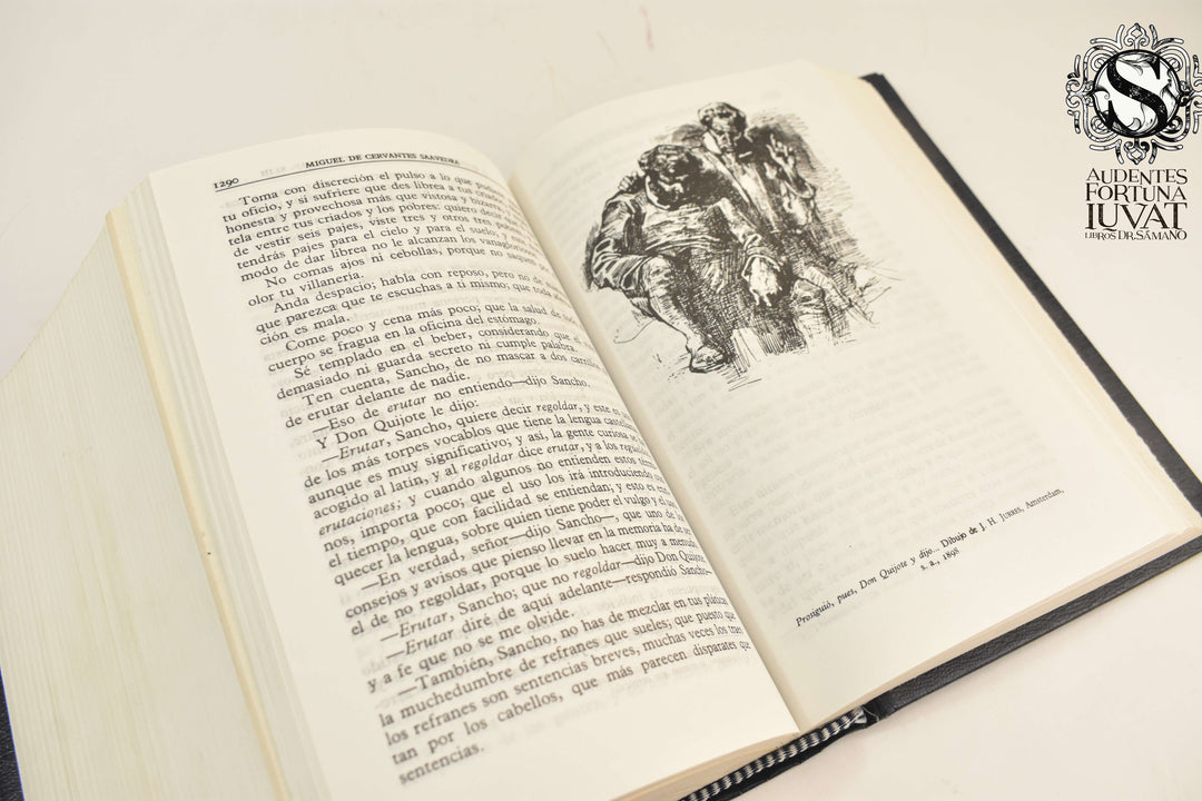EL INGENIOSO HIDALGO DON QUIJOTE DE LA MANCHA - Miguel de Cervantes Saavedra