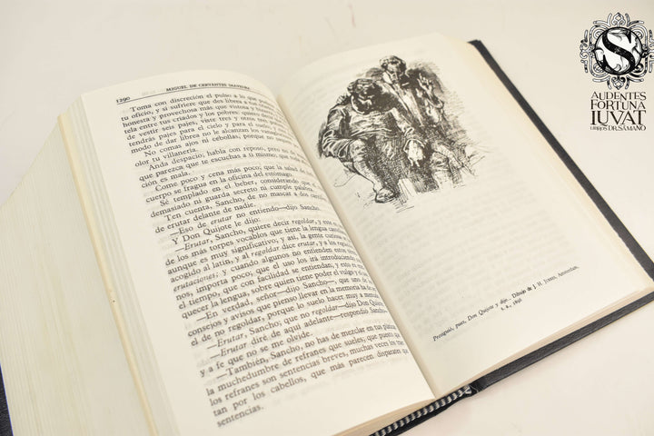 EL INGENIOSO HIDALGO DON QUIJOTE DE LA MANCHA - Miguel de Cervantes Saavedra