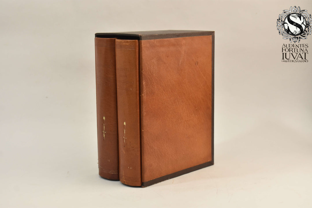 LA NOVELA DE LA REVOLUCIÓN 2 Tomos - Varios