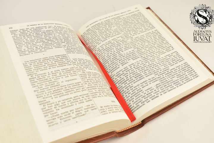 LA NOVELA DE LA REVOLUCIÓN 2 Tomos - Varios