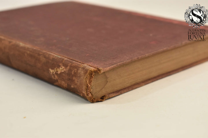 DIARIO DEL SITIO DE PUEBLA EN 1863 - Francisco P. Troncoso