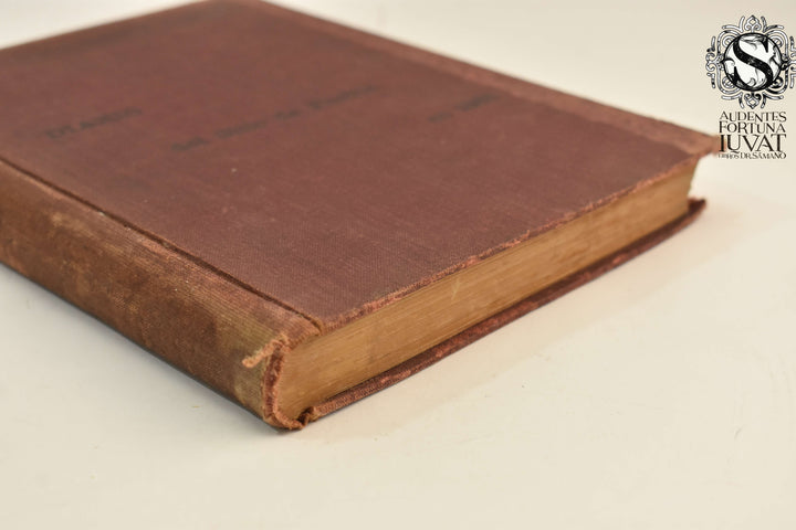 DIARIO DEL SITIO DE PUEBLA EN 1863 - Francisco P. Troncoso