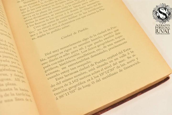 DIARIO DEL SITIO DE PUEBLA EN 1863 - Francisco P. Troncoso