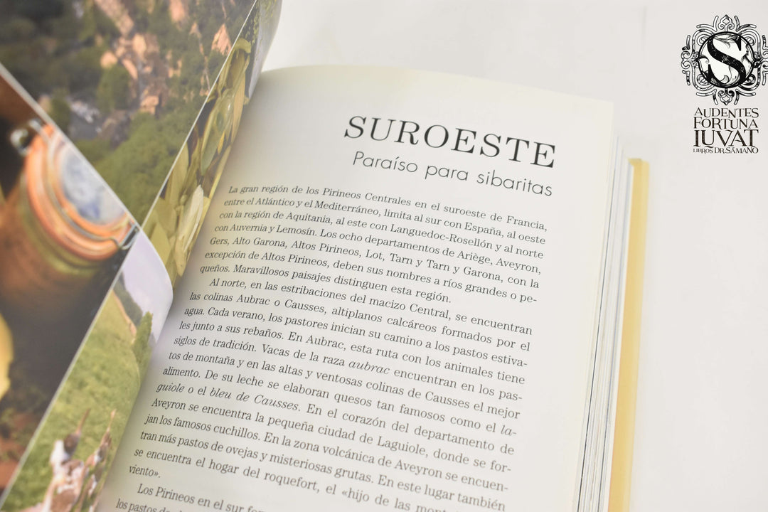 MANUAL DEL GOURMET DEL QUESO - Brigitte Engelmann