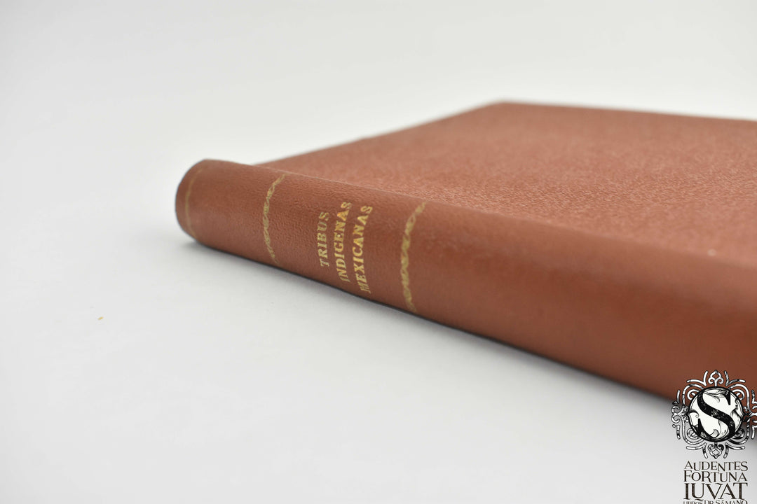 MANUAL DE LAS TRIBUS INDÍGENAS MEXICANAS - José U. Escobar