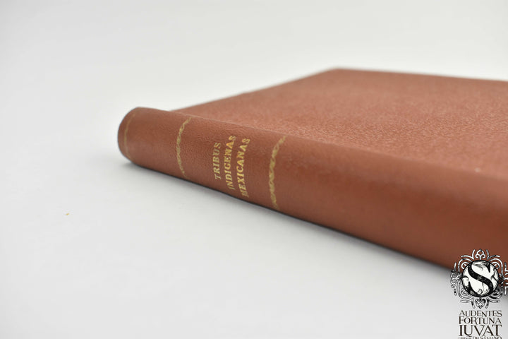 MANUAL DE LAS TRIBUS INDÍGENAS MEXICANAS - José U. Escobar