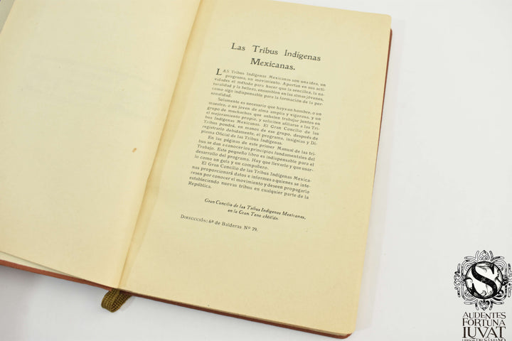 MANUAL DE LAS TRIBUS INDÍGENAS MEXICANAS - José U. Escobar