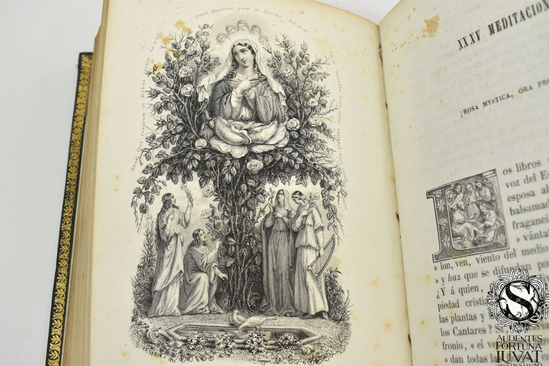 LETANÍAS DE LA SANTÍSIMA VIRGEN - Eduardo Barthe