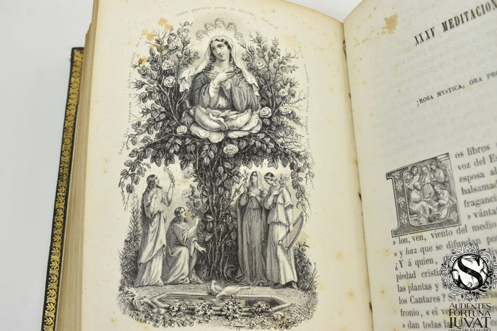 LETANÍAS DE LA SANTÍSIMA VIRGEN - Eduardo Barthe