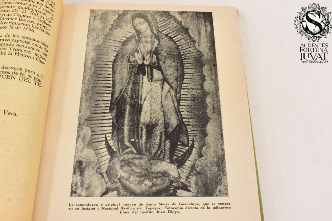 Informaciones sobre la milagrosa aparición de Santísima Virgen de Guadalupe - FORTINO HIPOLITO VERA