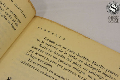 FIORELLO - Carlo Coccioli