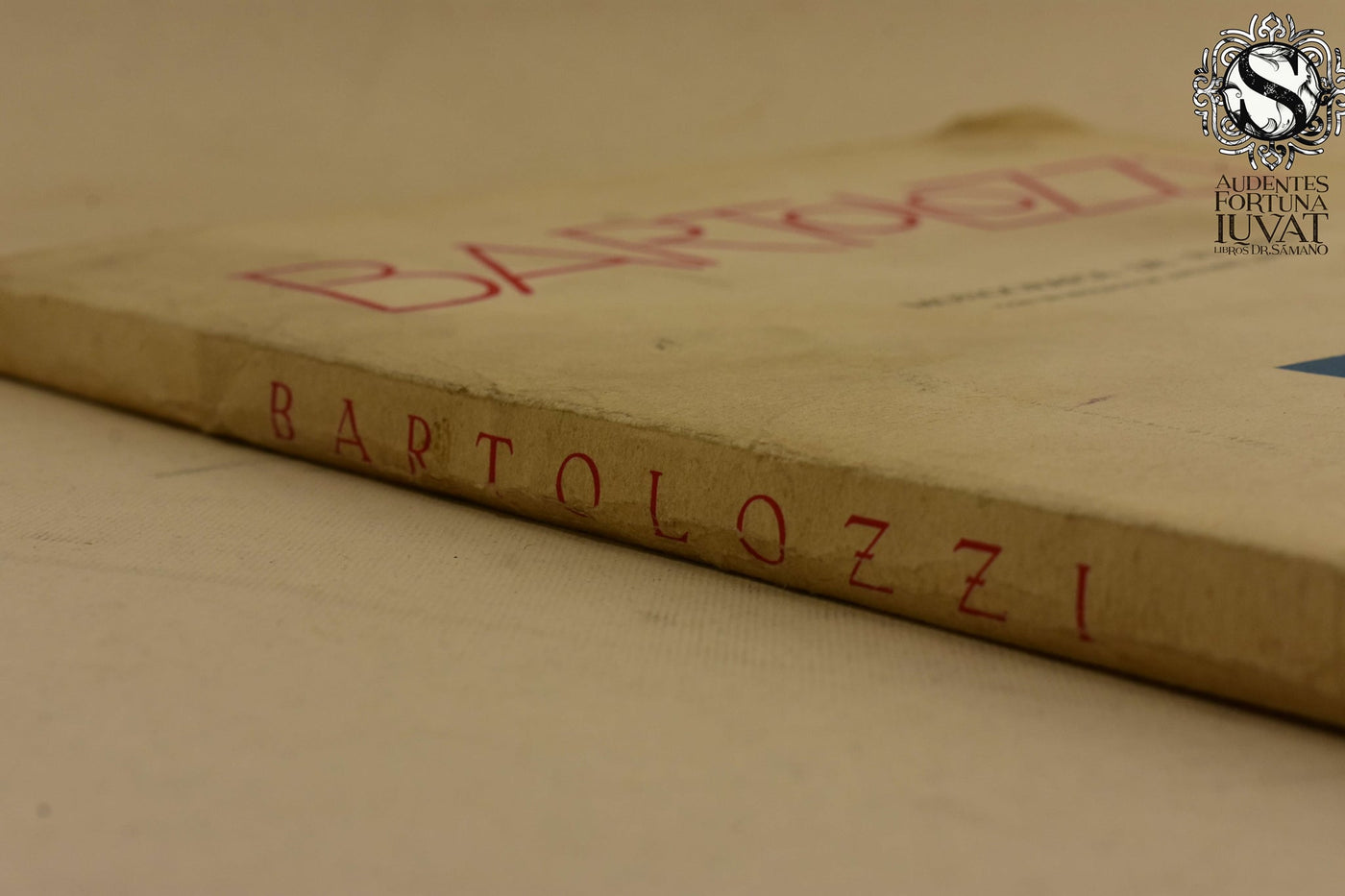 BARTOLOZZI - Monografía de su obra