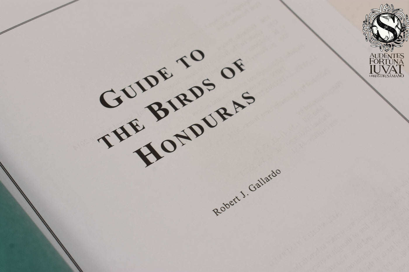 Guide to the birds of America - ROBERT J. GALLARDO