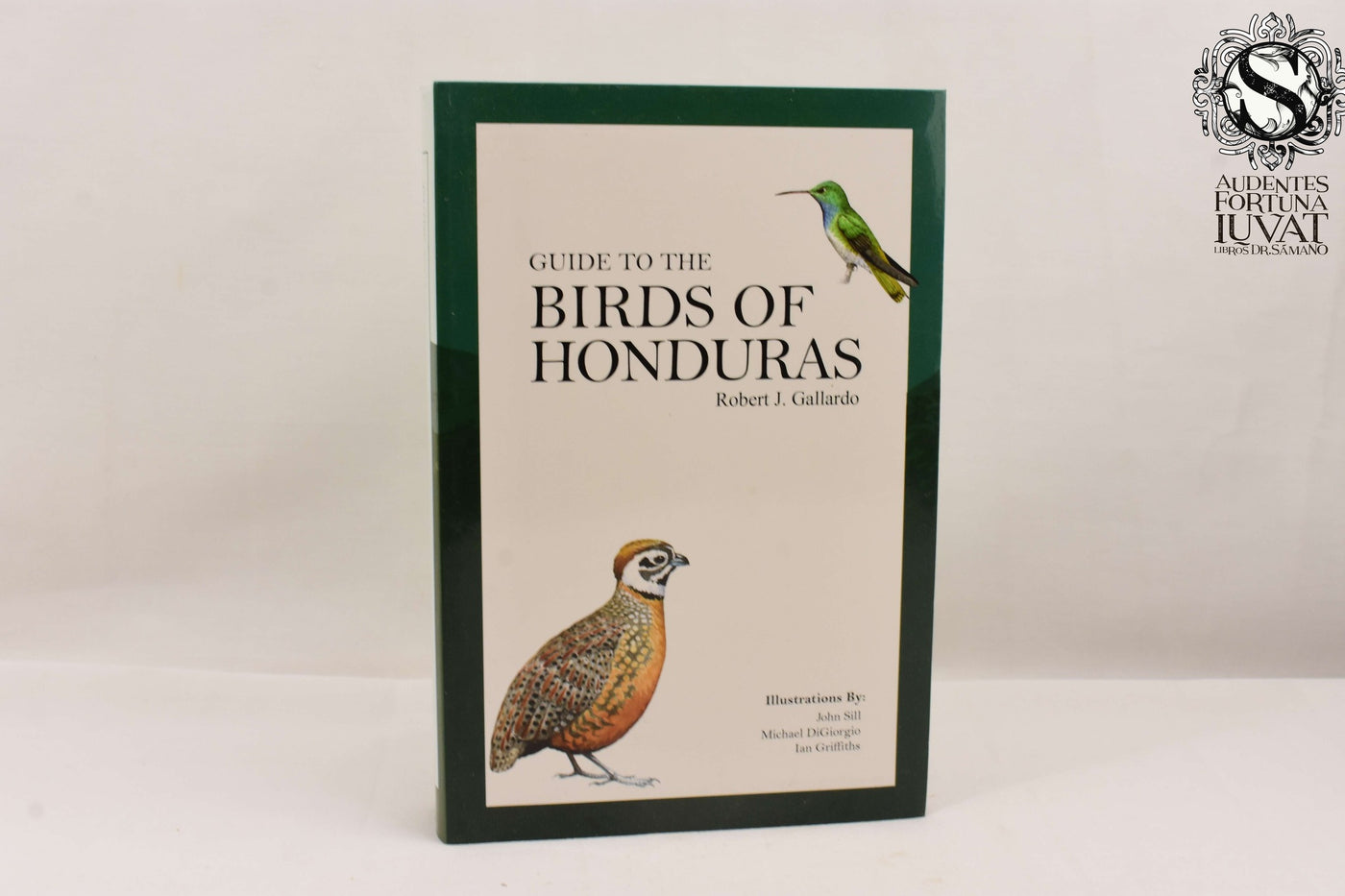 Guide to the birds of America - ROBERT J. GALLARDO