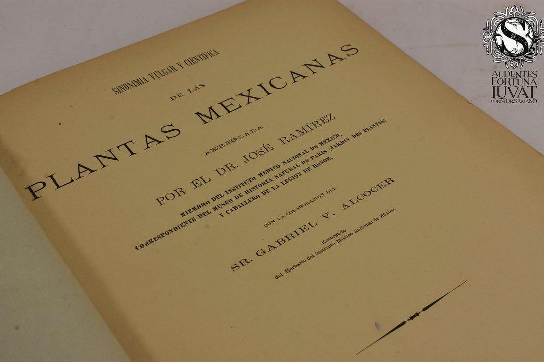 SINÓNIMA, VULGAR Y CIENTÍFICA DE LAS PLANTAS MEXICANAS - Dr. José Ramírez